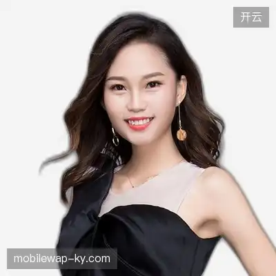 丁龙
