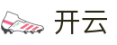 开云Kaiyun官方主页 - 在线登录入口